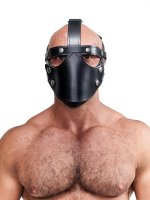 Vorschau: Mister B Leather Face Muzzle Harness